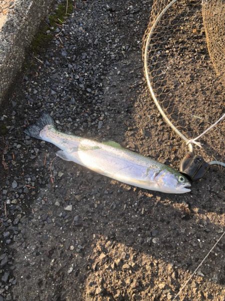 そろそろ終わりかな