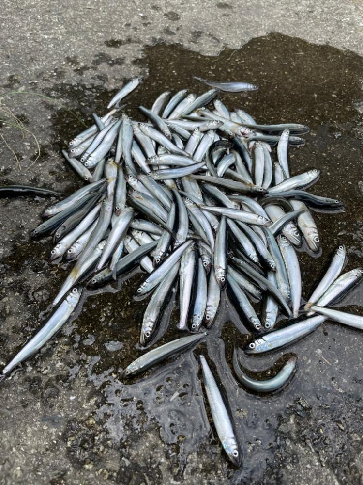 マキエダブルプレー!?