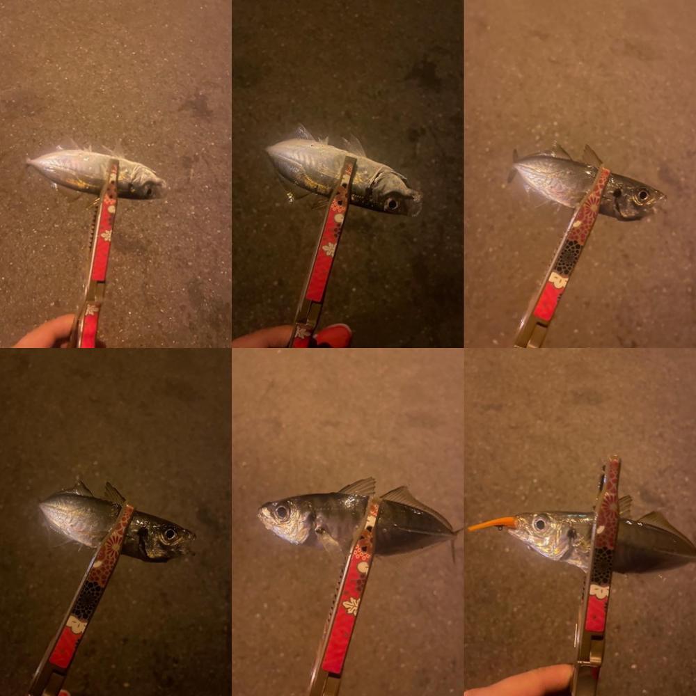 大分県別府遠征