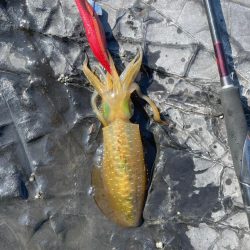 とりあえず一杯