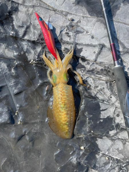 とりあえず一杯