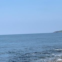 春イカですが⁉️