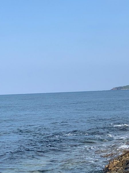 春イカですが⁉️