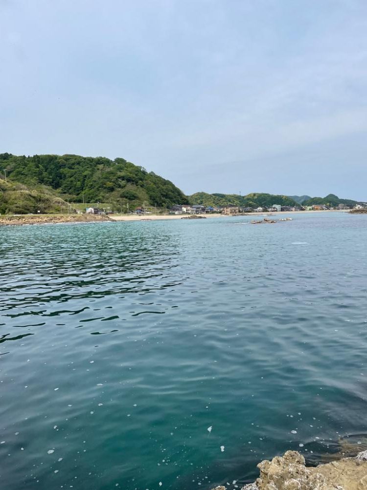 またまたマゴチ