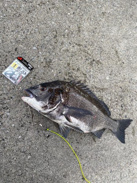 大雨大荒れの霞一文字