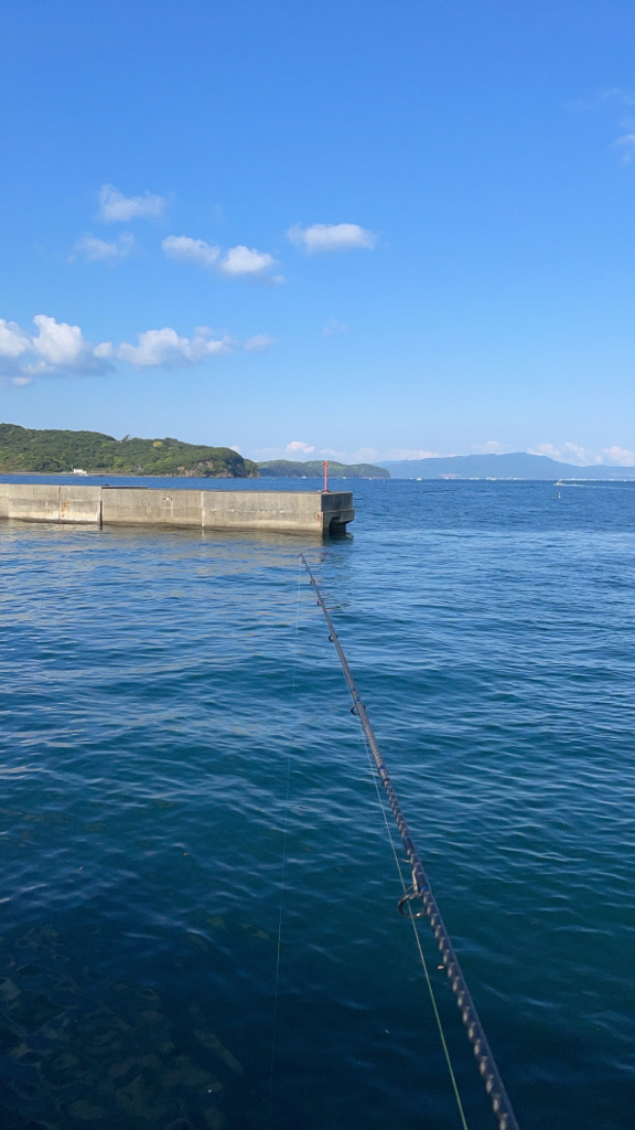 初めてのカレイ