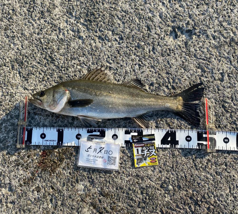 魚が浮いてもタモに入るまで　DAY2