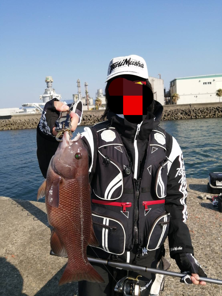 乗っ込みチヌはまだか…