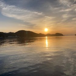 鯛ラバ2022 15回目