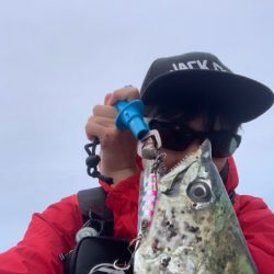 マキマキサゴシSPでサワラ！