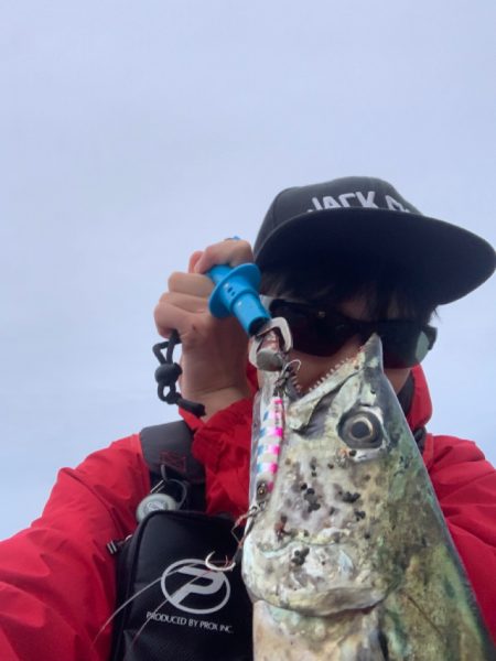 マキマキサゴシSPでサワラ！