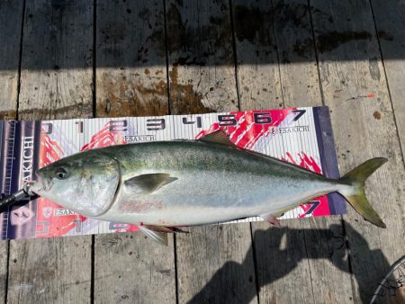 久しぶりの鰤！