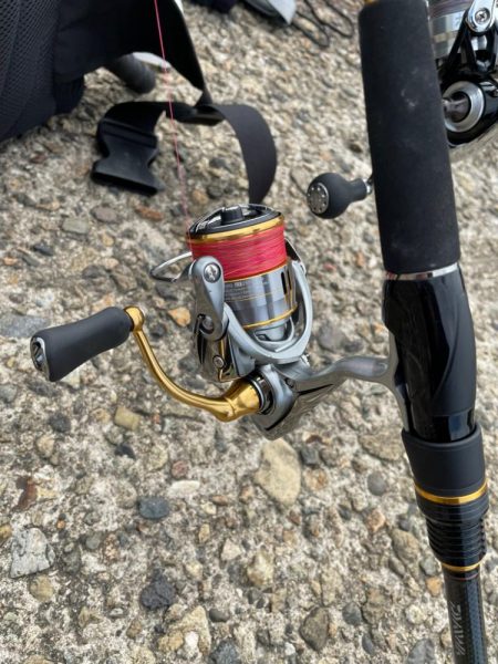 ちょい投げキス シーズンイン