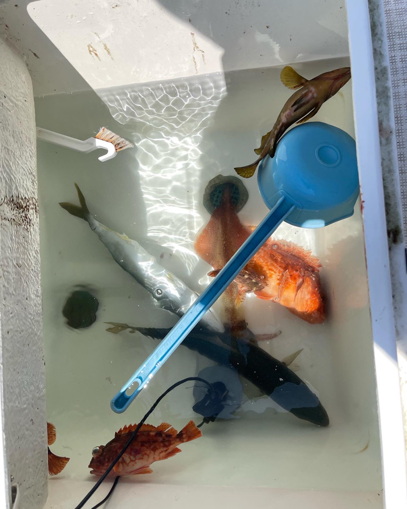 今年2回目のマイボート