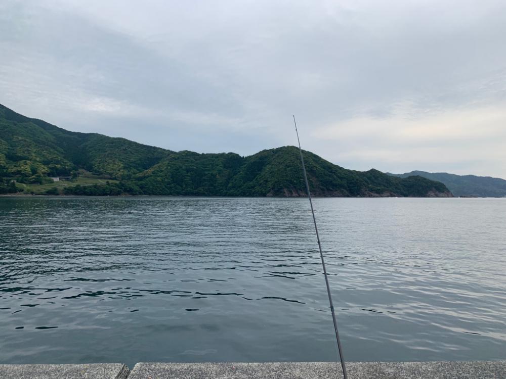 釣姫はポテンシャル高い