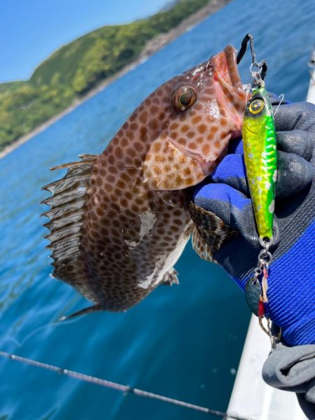 ジャックアイTGスイムがグッドサイズのオオモンハタにどハマり！