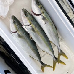 明石沖ジギング