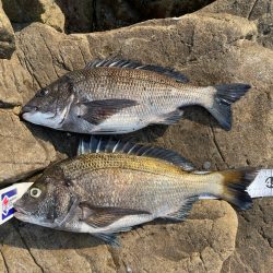 津久見リベンジ