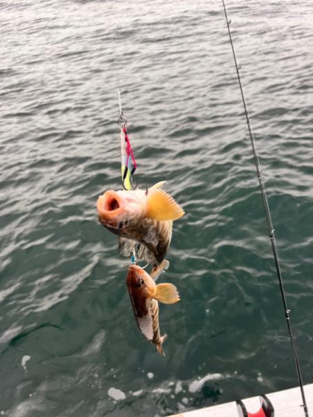 オフショアジギング