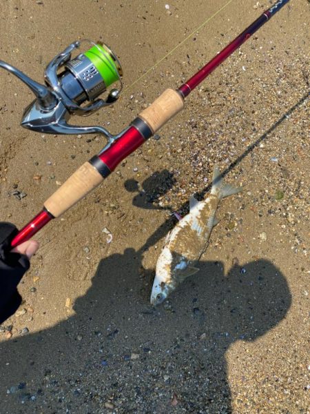 満月後の昼間は1番釣れない事を証明する