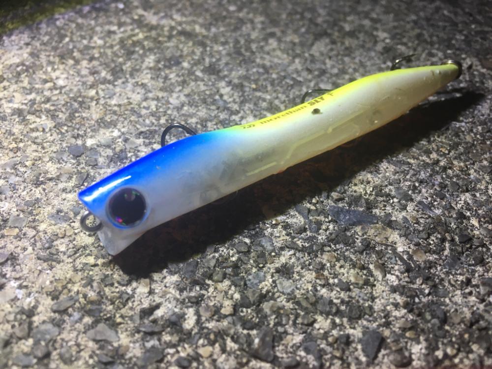 地元運河のバチ抜け事情