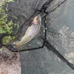 まだまだ経験不足