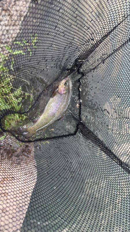 まだまだ経験不足