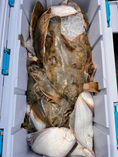 サクラサカズ…