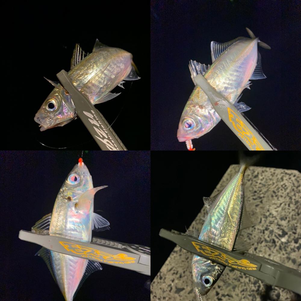 釣れないけど楽しい時間