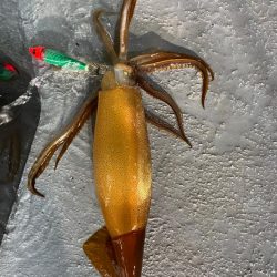 イカメタルで大剣狙い