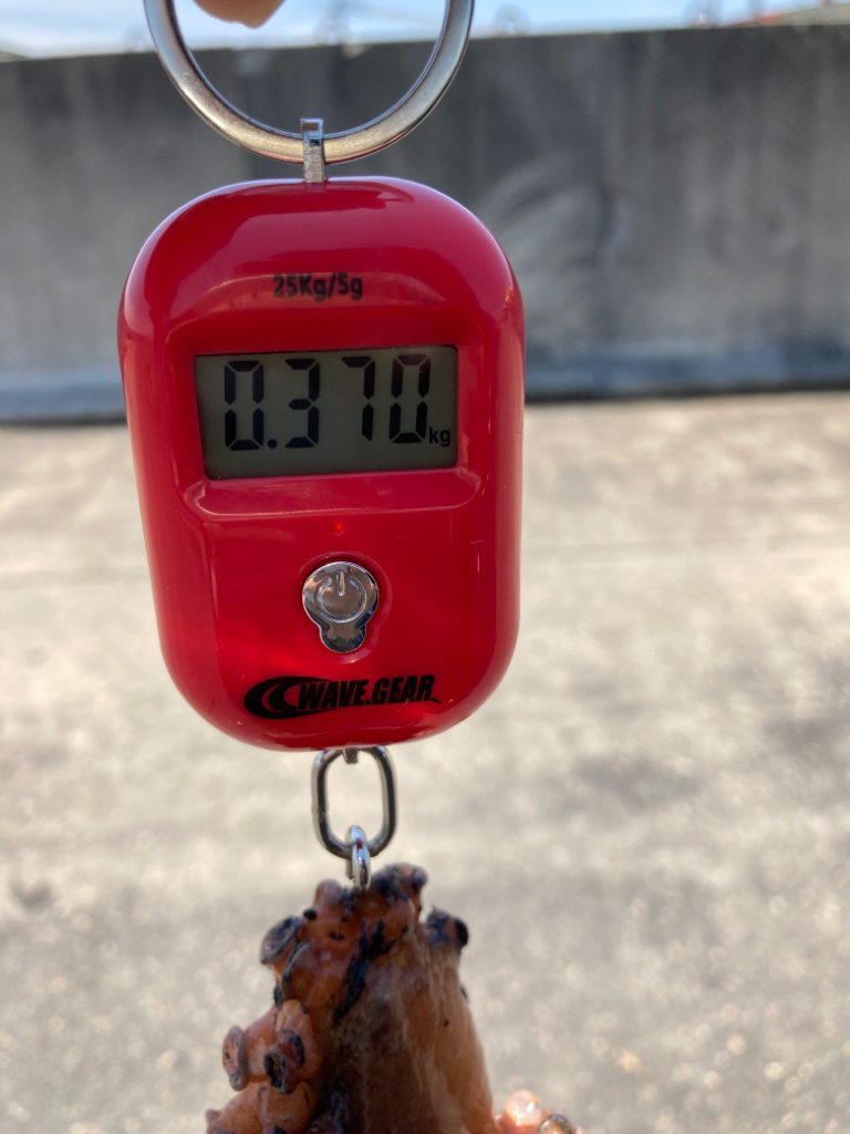 ⭐︎新規開拓へ