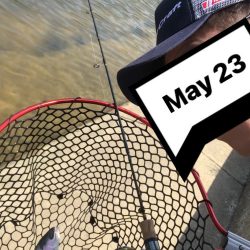 熱々エリアトラウト！