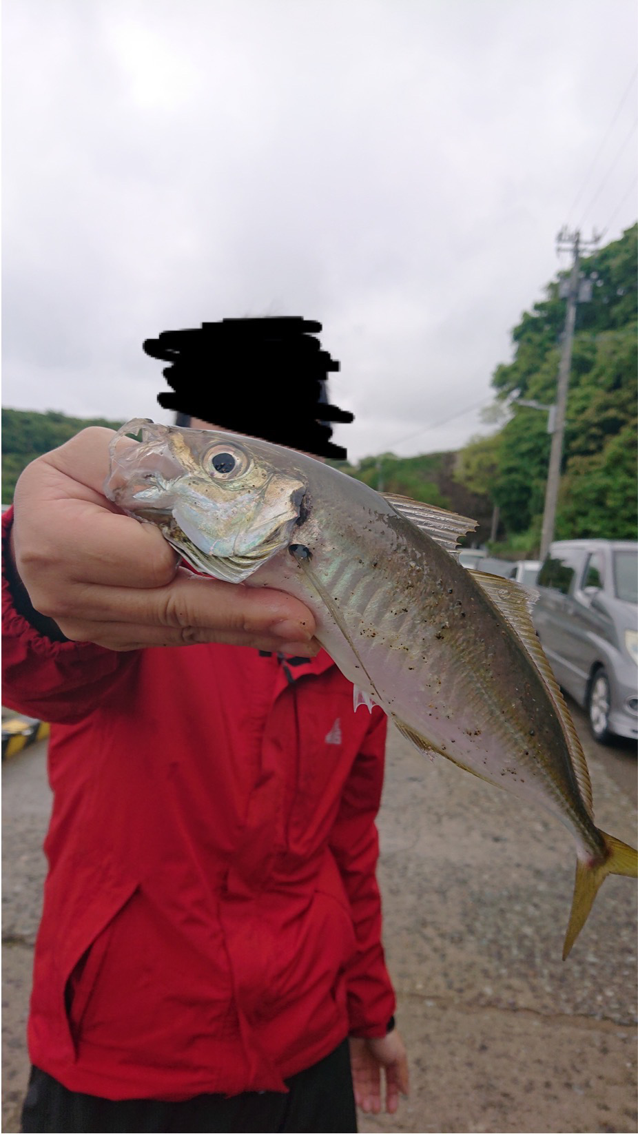 尺アジ　サビキ釣り