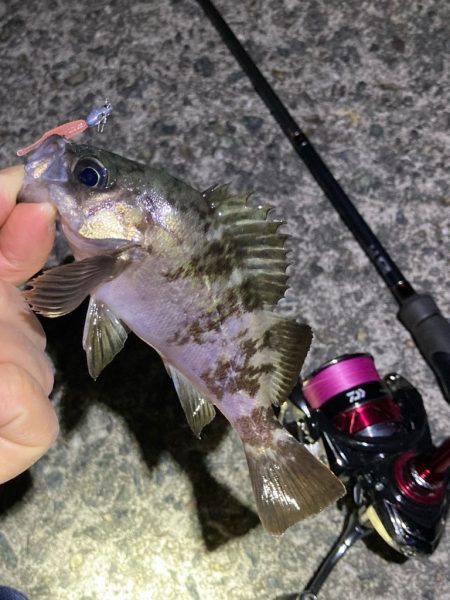 メバリングGW第二弾