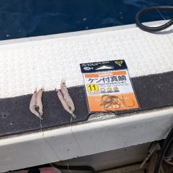 鷹巣沖　マダイ釣り