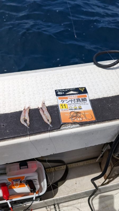 鷹巣沖　マダイ釣り