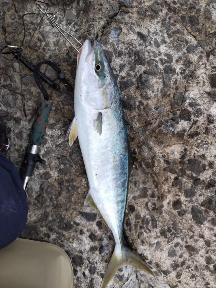 ショアプラッキング