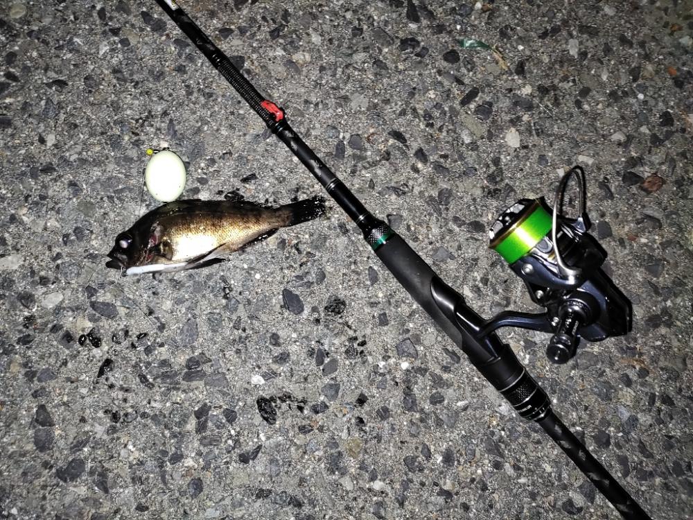 フロートメバリング@泉南