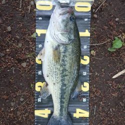 パワーフィネスでプリメス