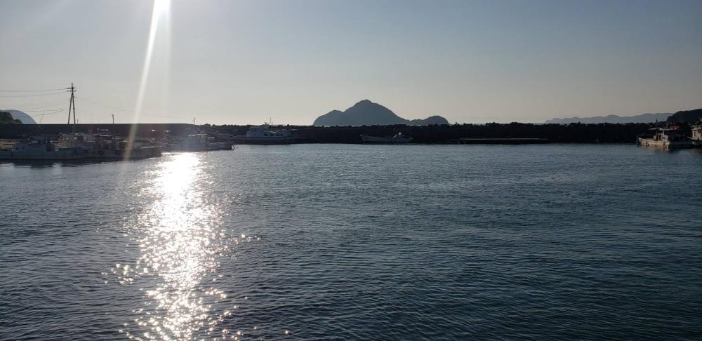 アジを探し@唐尾