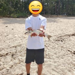 またまた敦賀へ