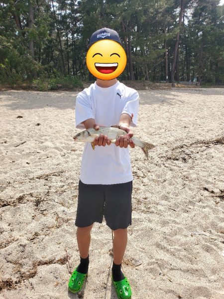 またまた敦賀へ