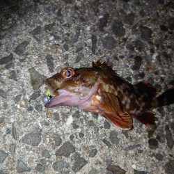 癒しのライトゲーム