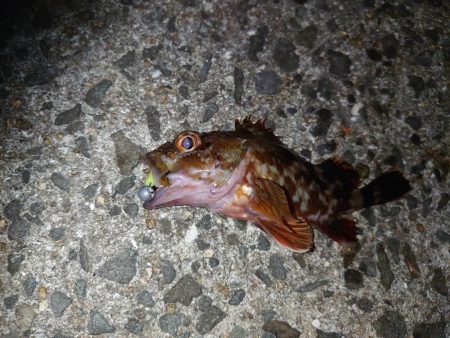 癒しのライトゲーム