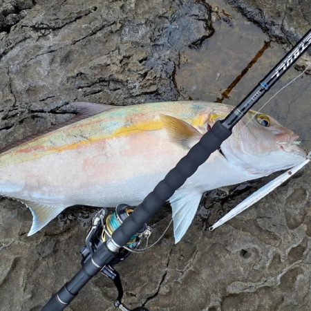 ロックショアマグロ&カンパチ