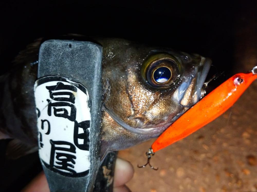 今夜はオレンジ