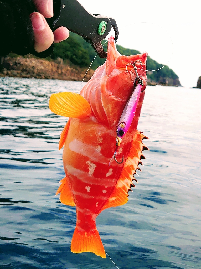 レンタルボート