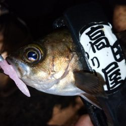 フロートメバリング