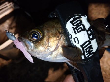 フロートメバリング