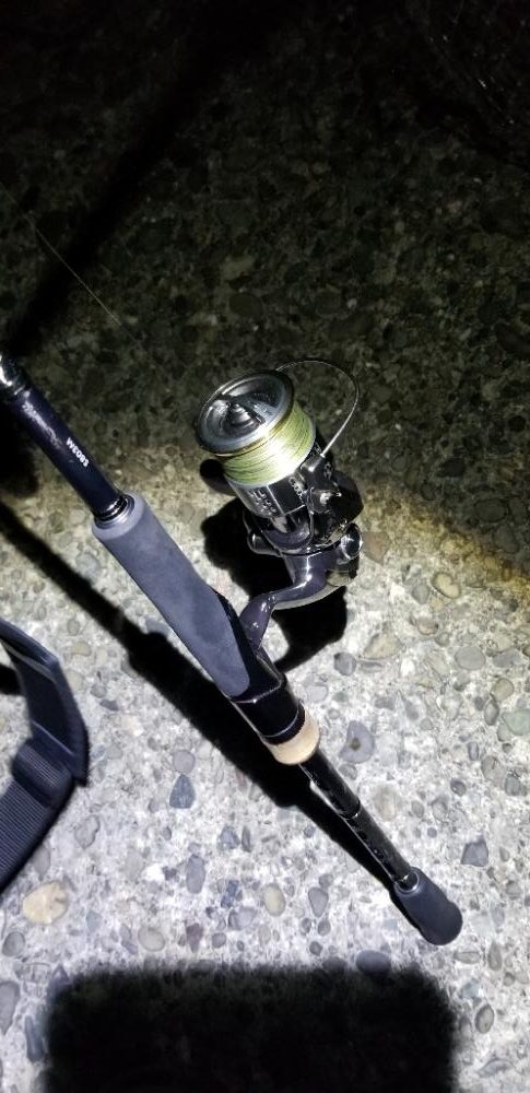 ナイトエギング